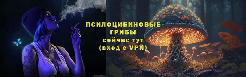 Галлюциногенные грибы Psilocybine cubensis  Павловский Посад 